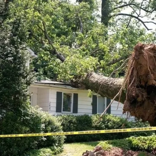 Storm & Wind Damage Repair Services in Kansas City, MO
